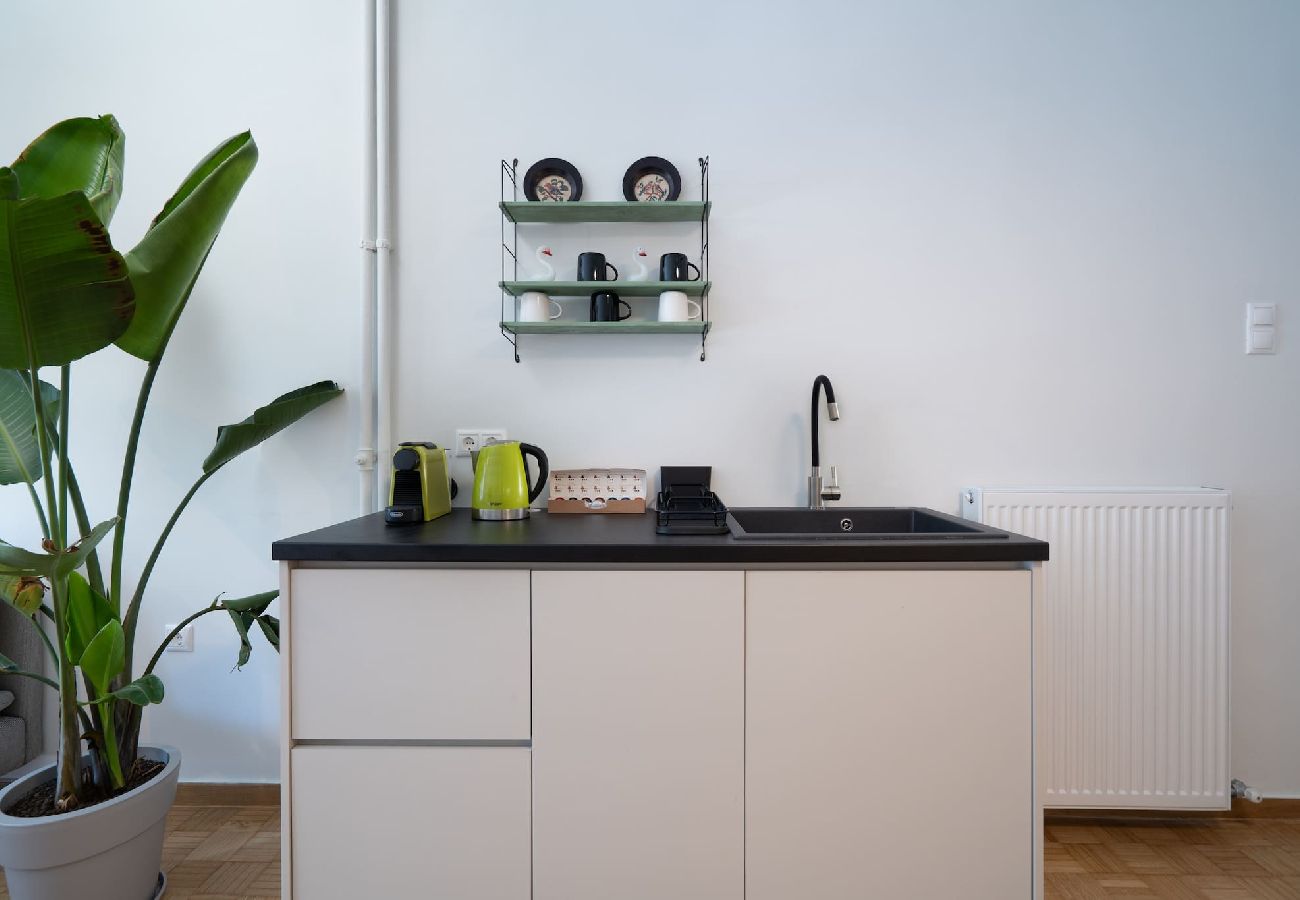 Apartment in Athens - Urban Escape: Exarcheia Remodel