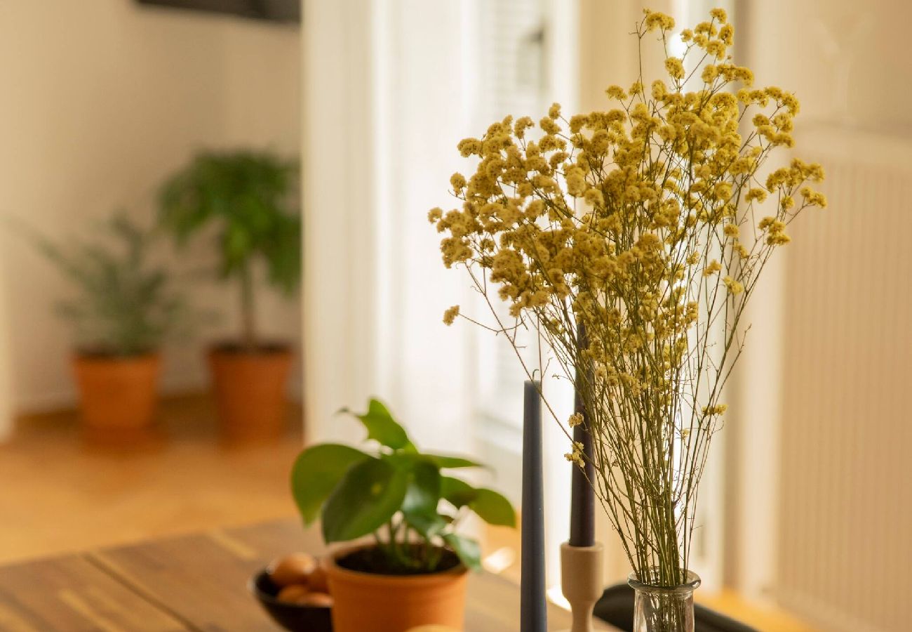 Apartment in Athens - Stylish cozy artistic Athens apartment 